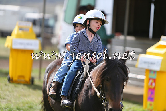 NimmitabelCampdraft2015_1857