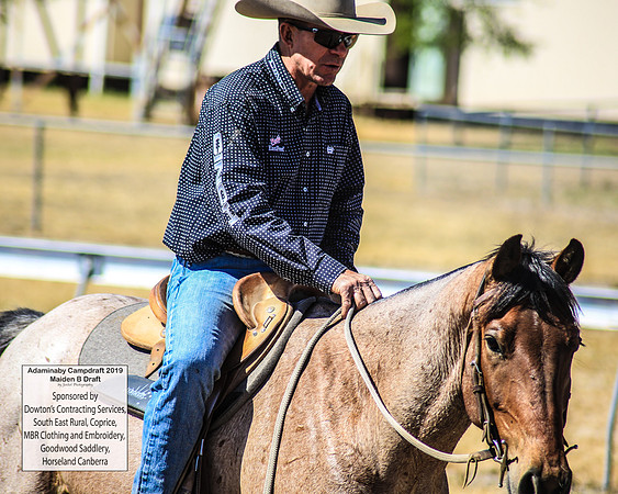 AdaminabyCampdraft2019_0360