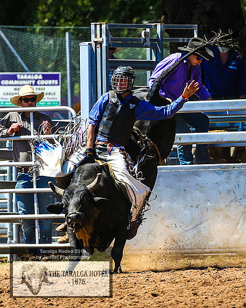 TaralgaRodeo2019_5552