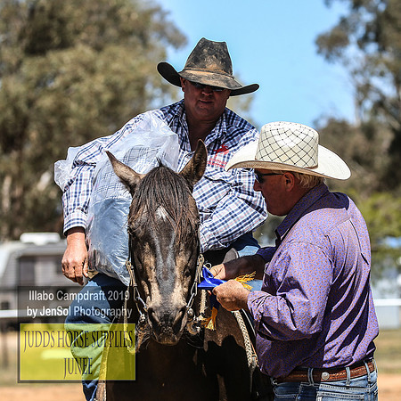 IllaboCampdraft2_4674