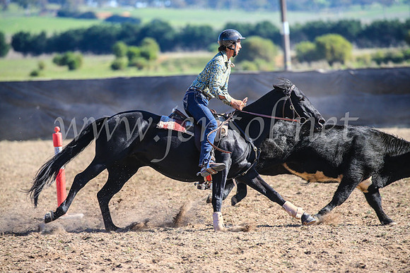 GoulburnCampdraft2017_4223
