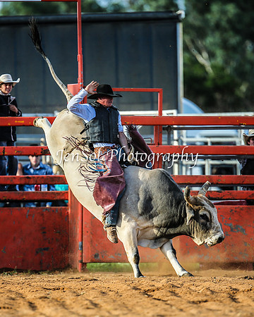 ForbesRodeo2014_2189