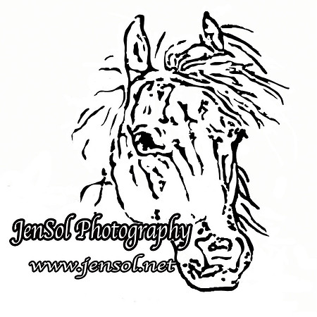 Logo4noborder