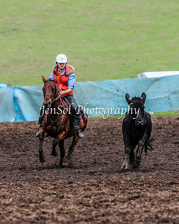CabanandraCampdraft2014_2358