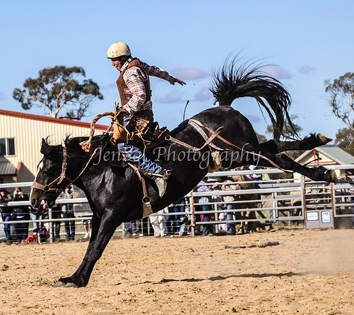 IMG_0528Jindy