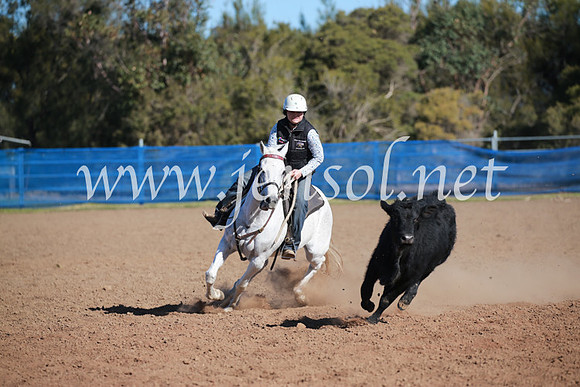 CCCampdraft2016_6212