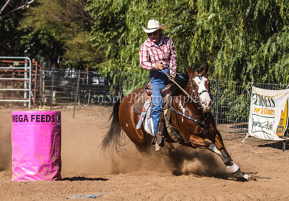 Dubbo2 459