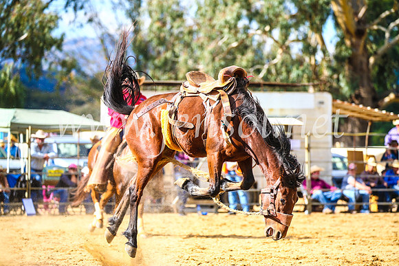 TumutRodeo2017_1642