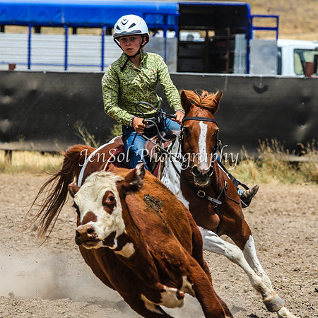 AdaminabyCampdraftSun2015_3248