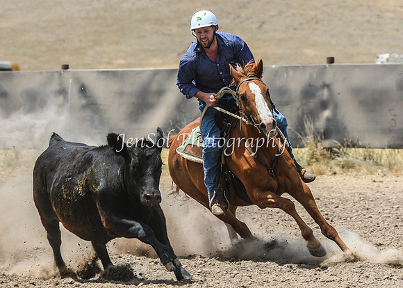 AdaminabyCampdraftSun2015_3007