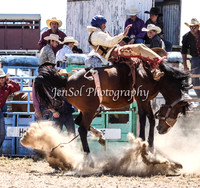 Bungendore2011_0378