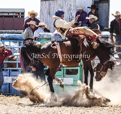 Bungendore2011_0378