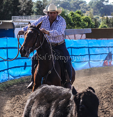 IMG_0253CCCSun