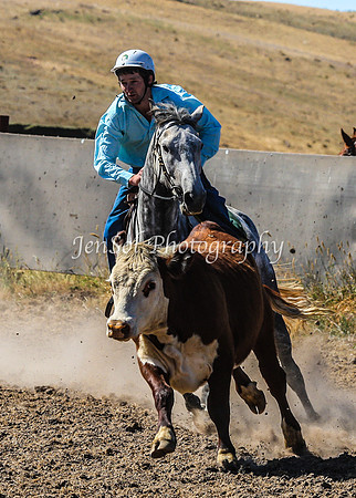 AdaminabyCampdraft2015_0146