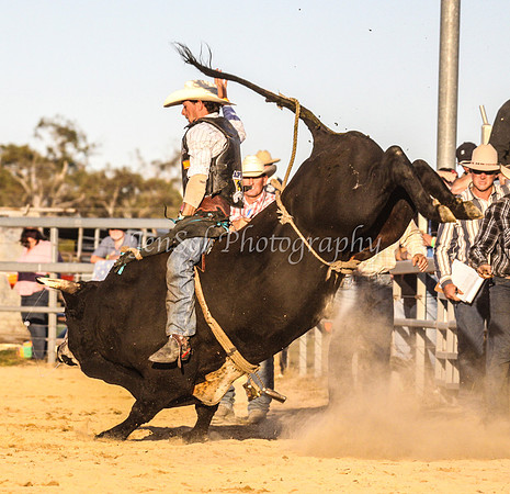 IMG_1002Jindy