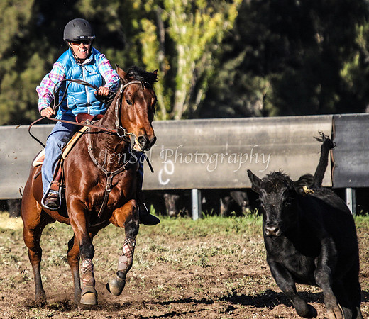 IMG_0011Jugiong1