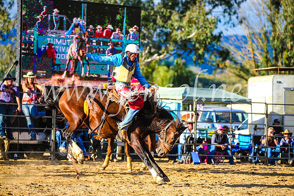 TumutRodeo2017_2500