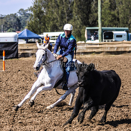Novice 633