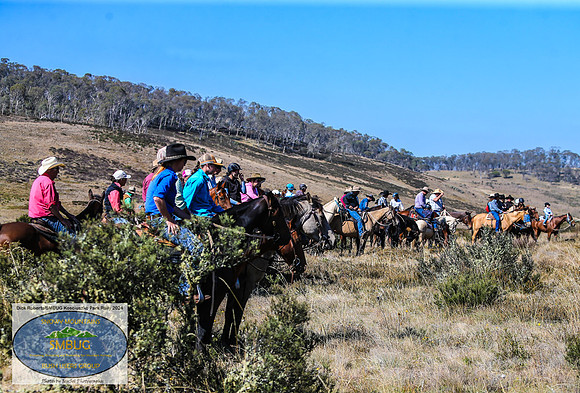 DickRoberts_BUGSKosciRally2024_0059