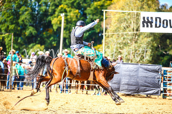 TumutRodeo2017_1697