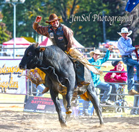 Open Bulls