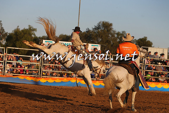 ForbesRodeo2015_1226