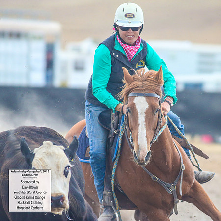 AdaminabyCampdraft2019_6080