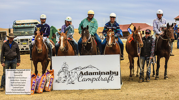 AdaminabyCampdraft2019_5024