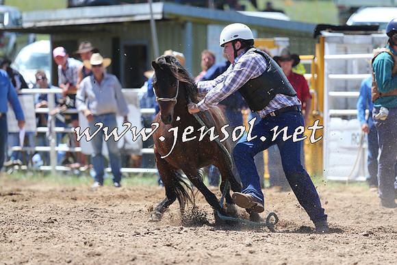 BungendoreRodeo2014_1474