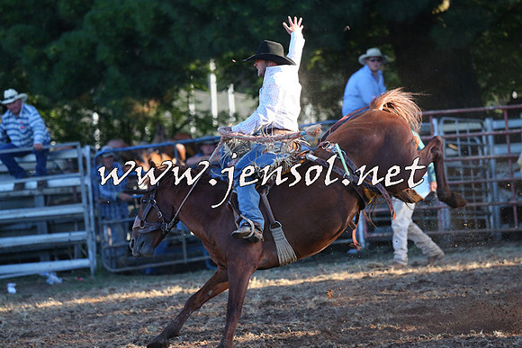 Taralga2015_6856