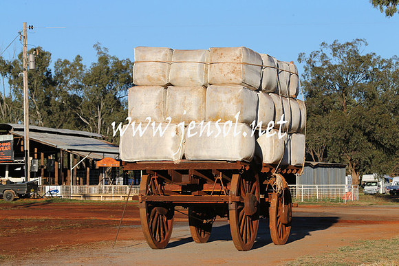 BarellanHeavyHorses2014_0122