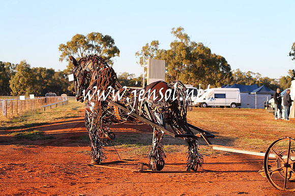 BarellanHeavyHorses2014_0116