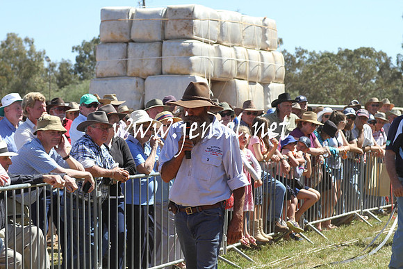 BarellanHeavyHorses2014_0620
