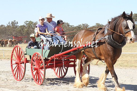 BarellanHeavyHorses2014_0568
