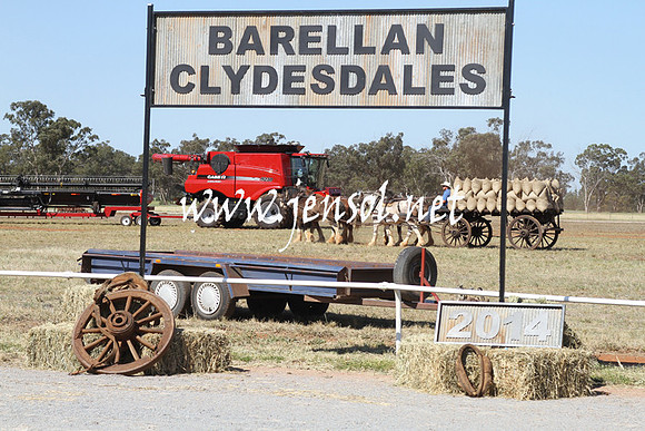 BarellanHeavyHorses2014_0591