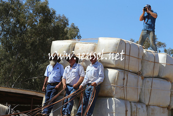 BarellanHeavyHorses2014_0083