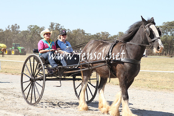 BarellanHeavyHorses2014_0572