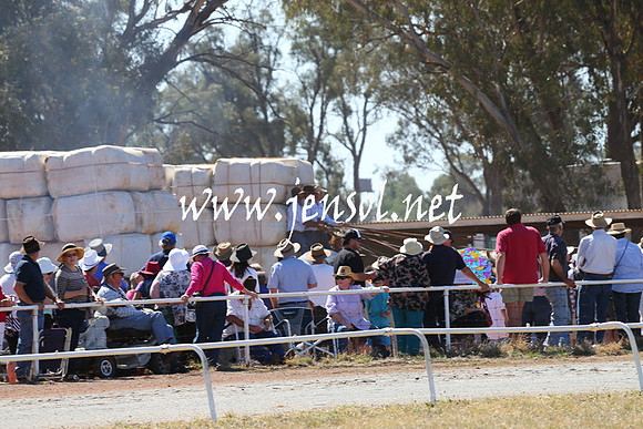 BarellanHeavyHorses2014_0233