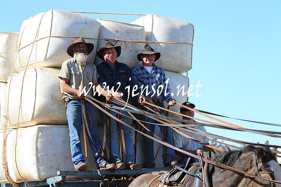 BarellanHeavyHorses2014_0350
