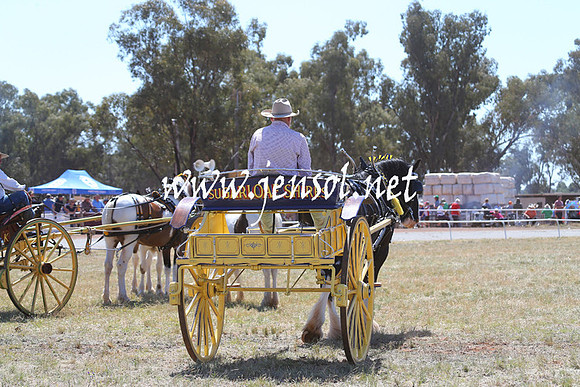BarellanHeavyHorses2014_0168