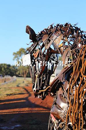 BarellanHeavyHorses2014_0124