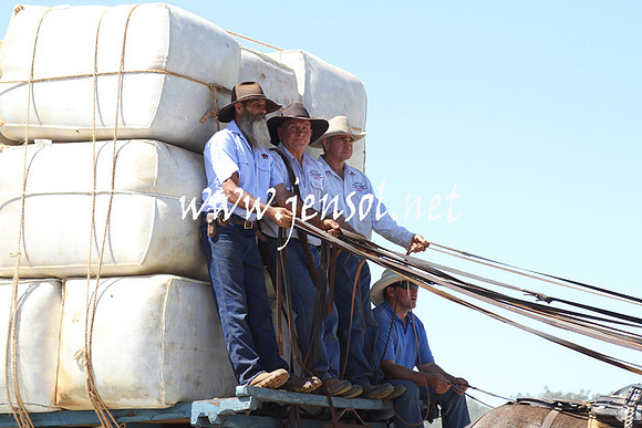 BarellanHeavyHorses2014_0444