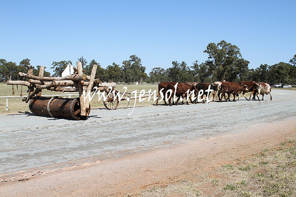 BarellanHeavyHorses2014_0520