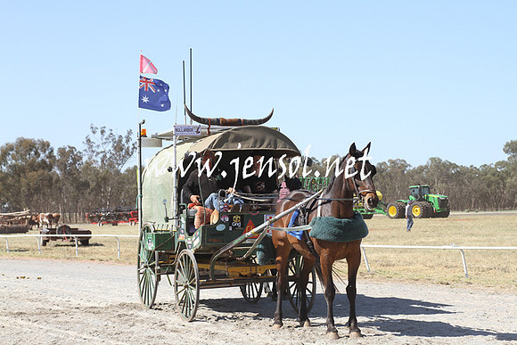 BarellanHeavyHorses2014_0585