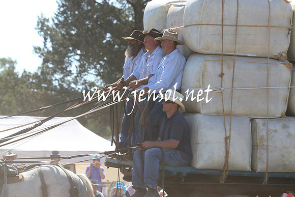 BarellanHeavyHorses2014_0283