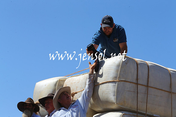 BarellanHeavyHorses2014_0079