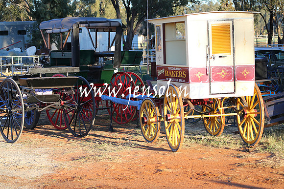 BarellanHeavyHorses2014_0118