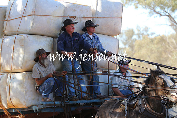 BarellanHeavyHorses2014_0366