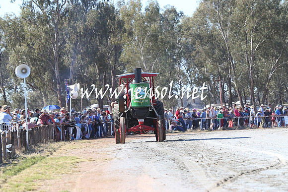 BarellanHeavyHorses2014_0311