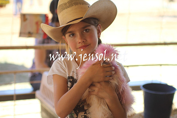 BarellanHeavyHorses2014_0406
